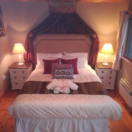 Stay With Your Pet Killarney Exteriér fotografie