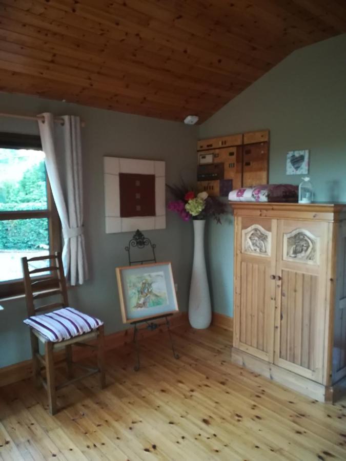 Stay With Your Pet Killarney Exteriér fotografie