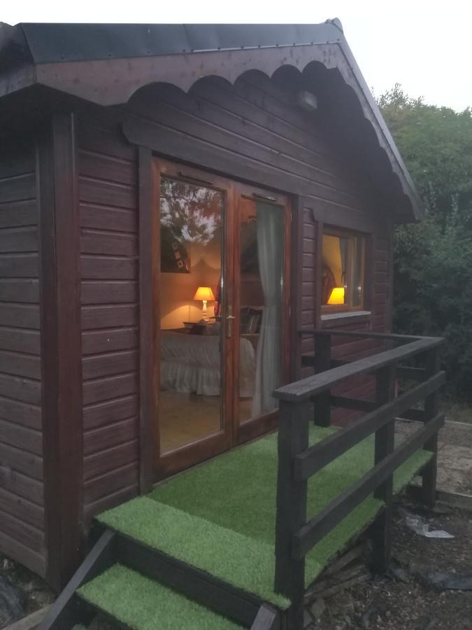 Stay With Your Pet Killarney Exteriér fotografie
