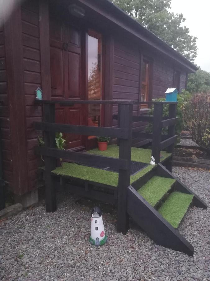 Stay With Your Pet Killarney Exteriér fotografie