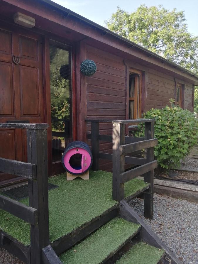 Stay With Your Pet Killarney Exteriér fotografie