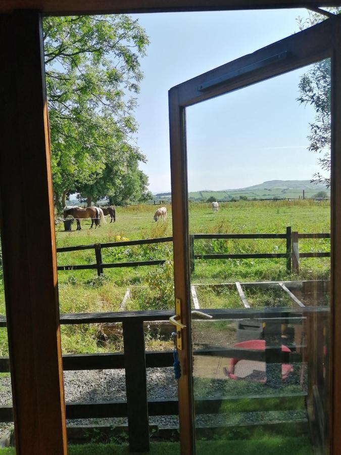 Stay With Your Pet Killarney Exteriér fotografie