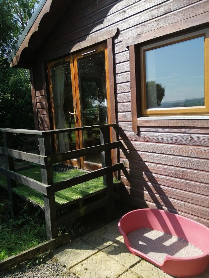 Stay With Your Pet Killarney Exteriér fotografie